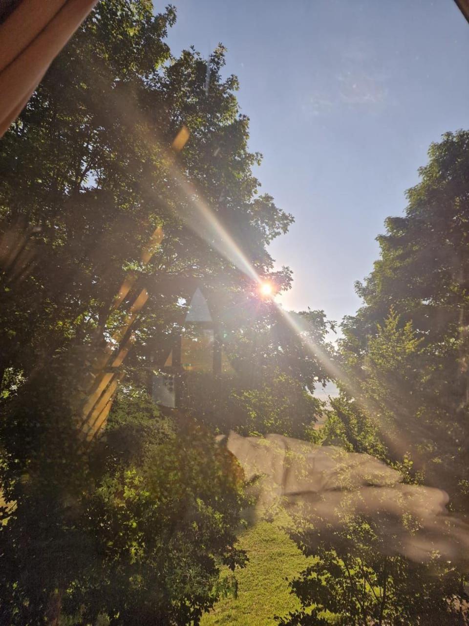 Anovi House Villa Zabljak  Bagian luar foto